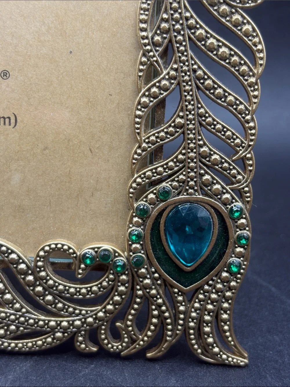 Pier 1 Imports Peacock Feather Enamel Metal Crystal Rhinestone Picture Frame